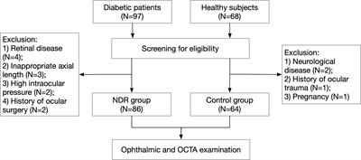 Changes in and the association of retinal blood perfusion and retinal nerves in diabetic patients without retinopathy